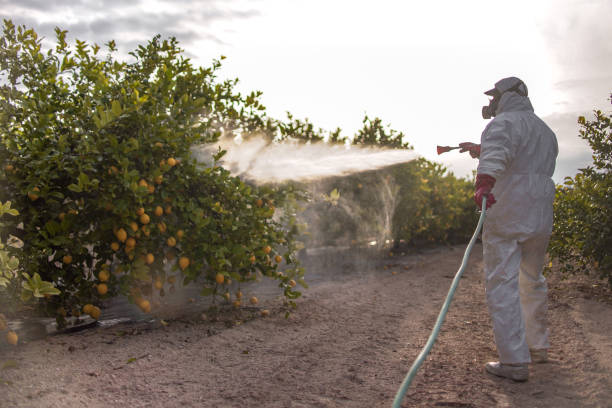 Best Commercial Pest Control Services  in Lowell, IN