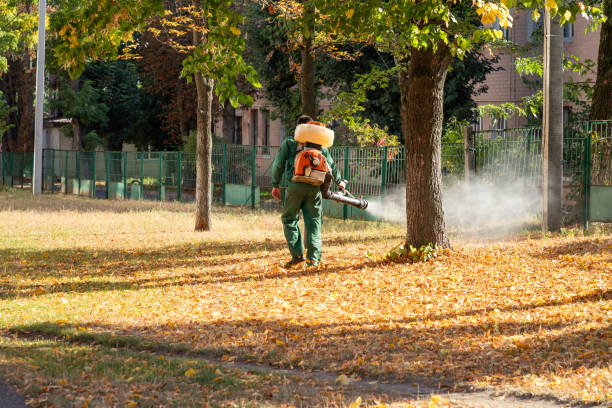Best Mosquito Control Services  in Lowell, IN